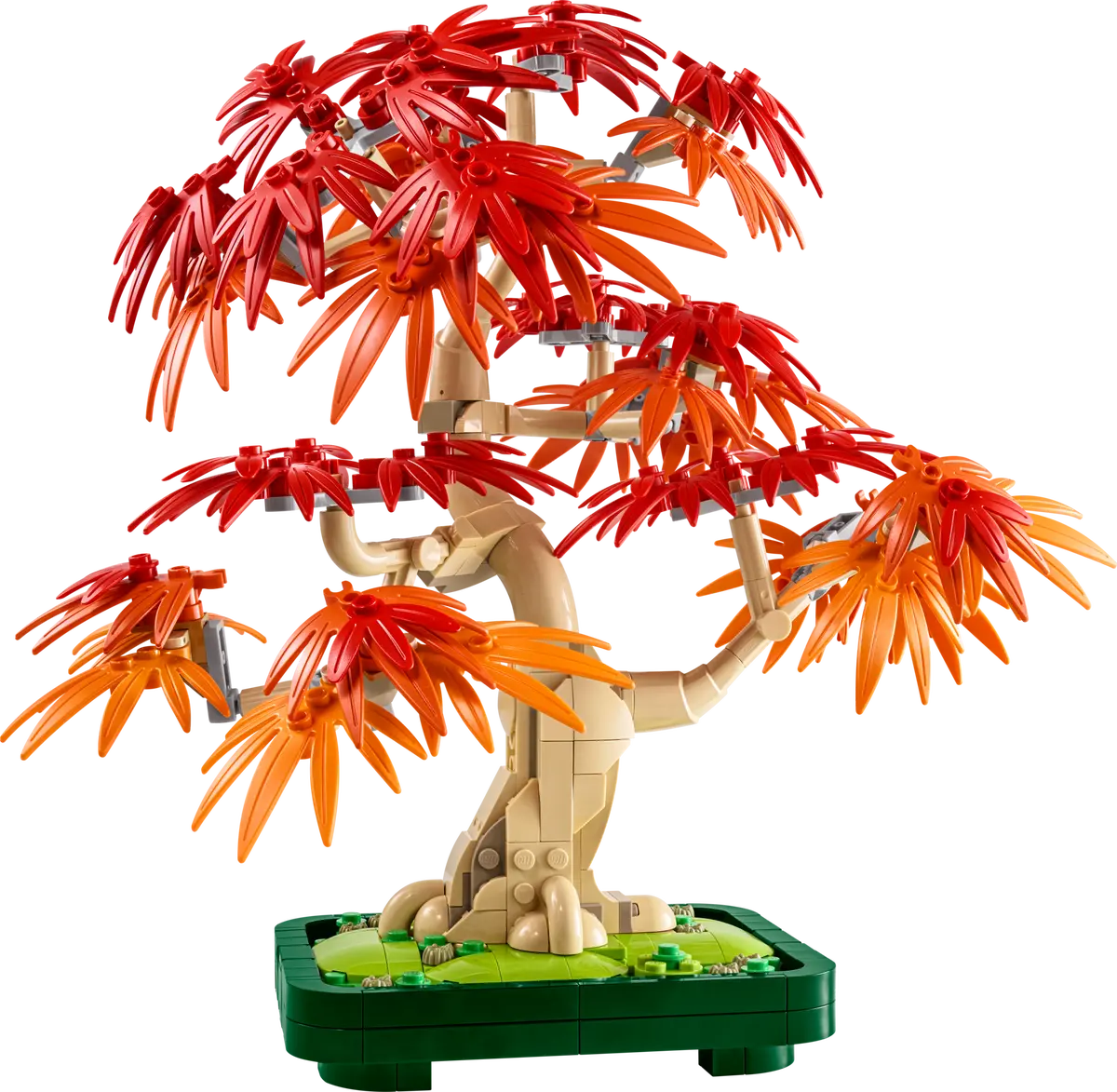 LEGO Botanicals - Bonsai di acero rosso 10348