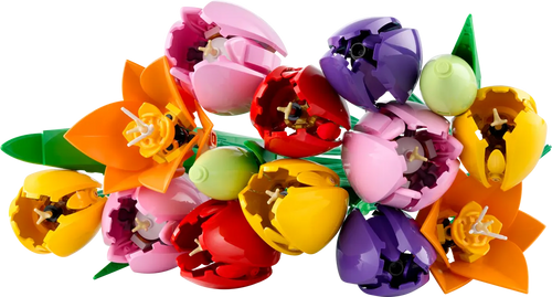 LEGO Botanicals - Bouquet di Tulipani 11501