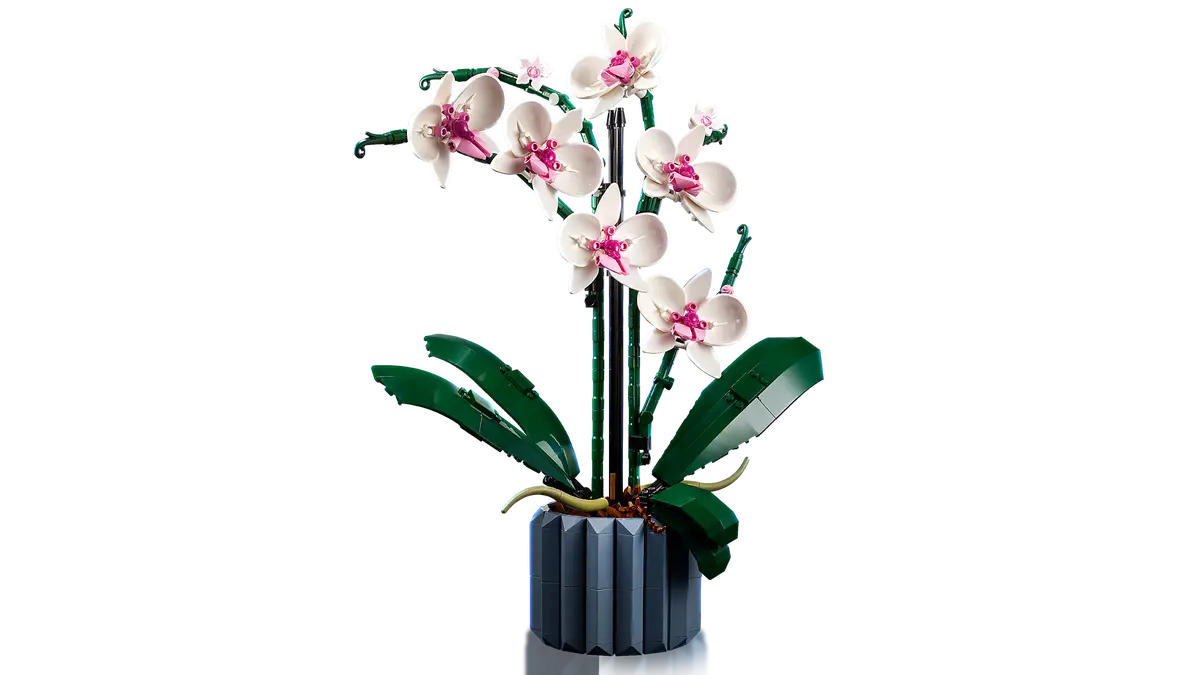 LEGO Botanicals - Orchidea 10311