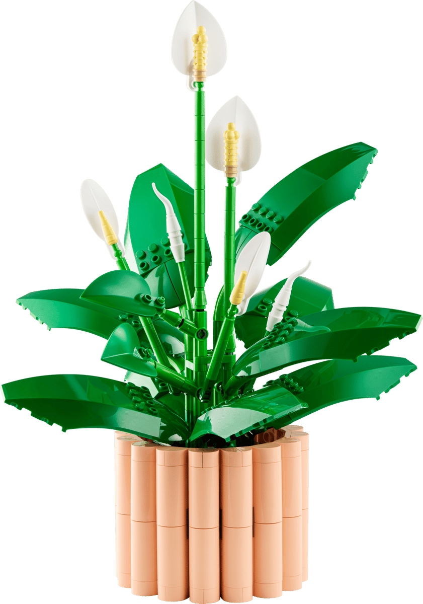 LEGO Botanicals - Spatifillo 11504