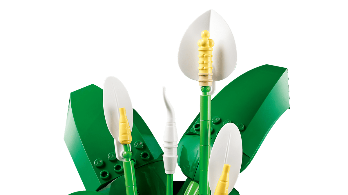LEGO Botanicals - Spatifillo 11504