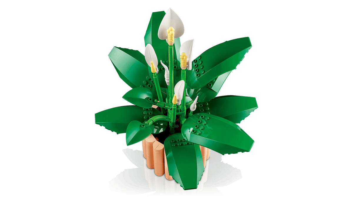 LEGO Botanicals - Spatifillo 11504