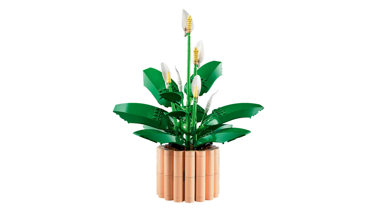 LEGO Botanicals - Spatifillo 11504
