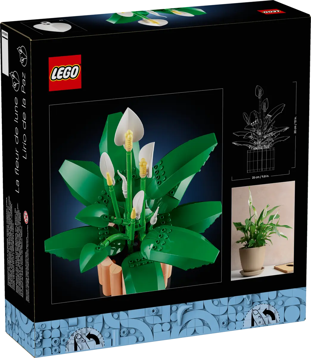 LEGO Botanicals - Spatifillo 11504